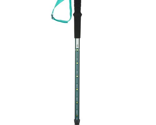 WANDERSTOCK FÜR KINDER