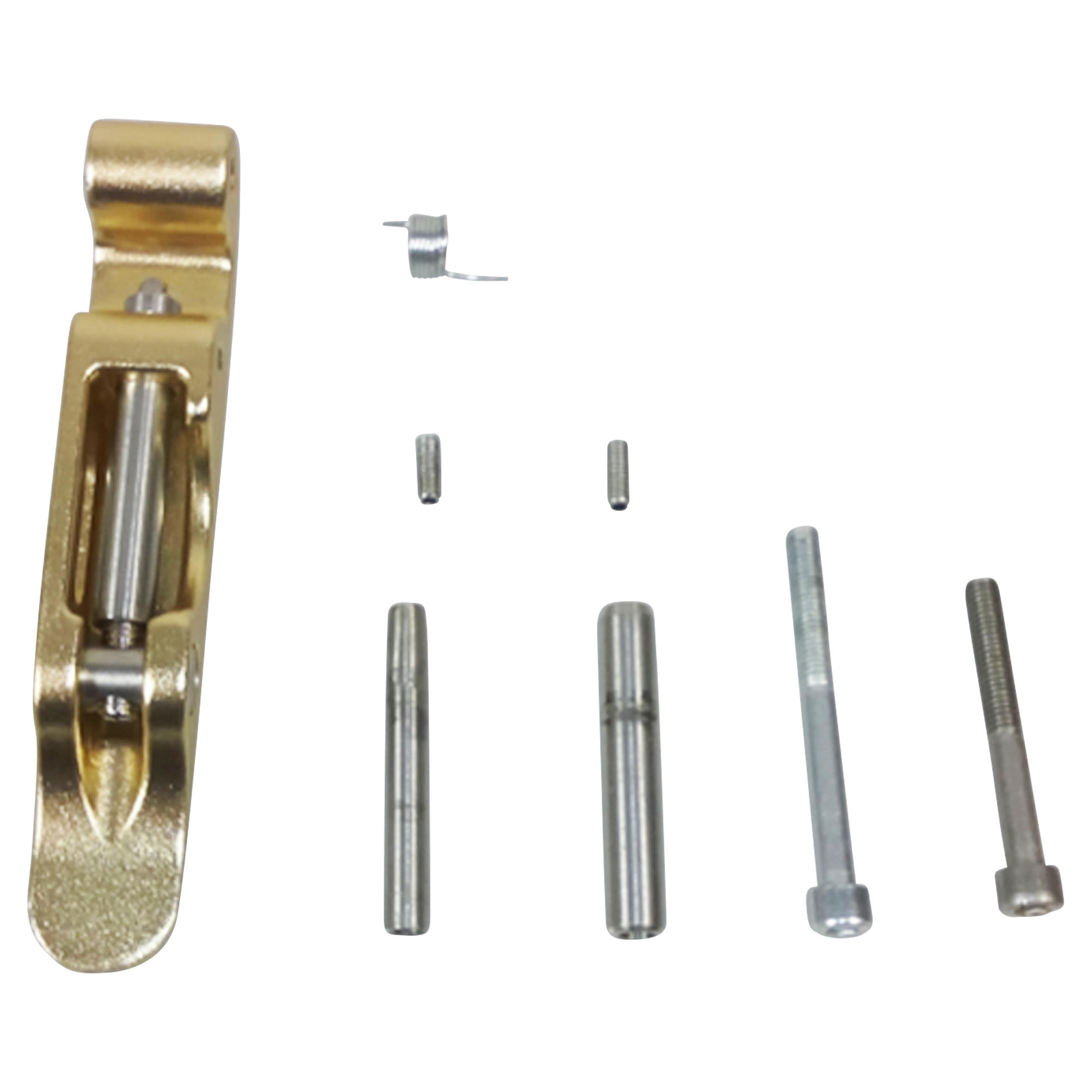 kit charniere cadre hoptown 500 E or