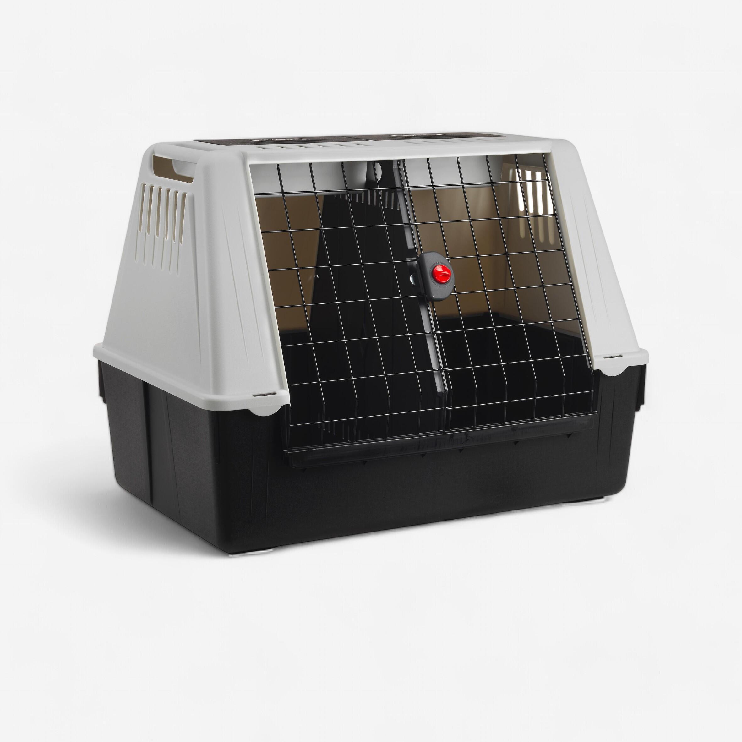 Dog transport shop box