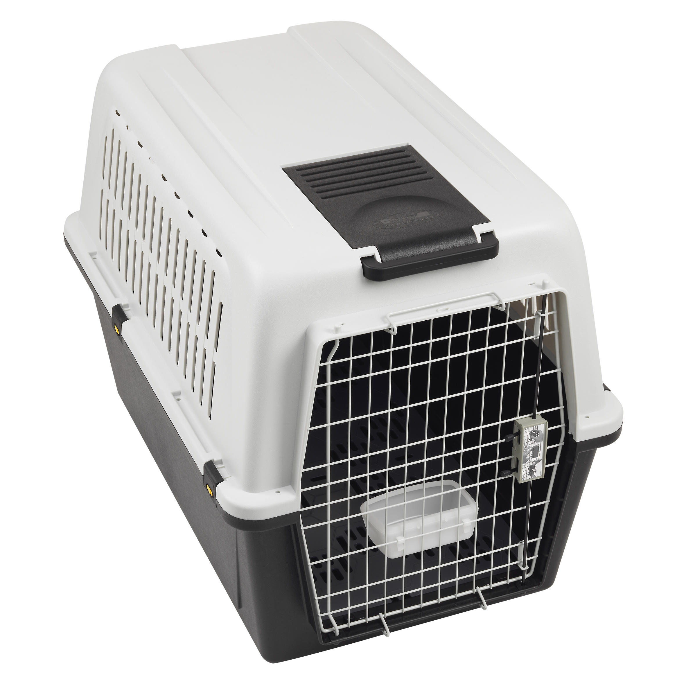 hunting dog crate