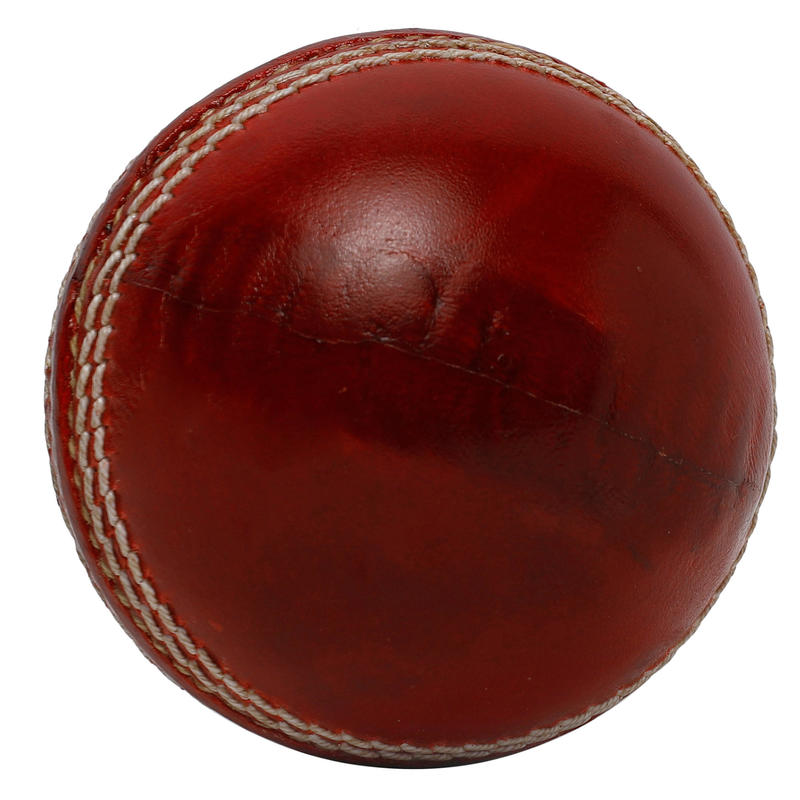 Cricket Leather Ball, 4piece, non toxic.