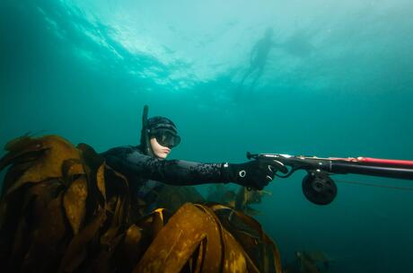 9 bienfaits de la chasse sous-marine avec Subea 9 bienfaits de la chasse sous-marine avec Subea