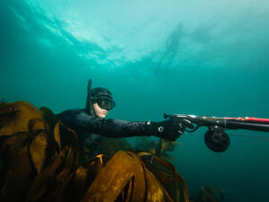 Comment trouver son spot de chasse sous-marine ?
