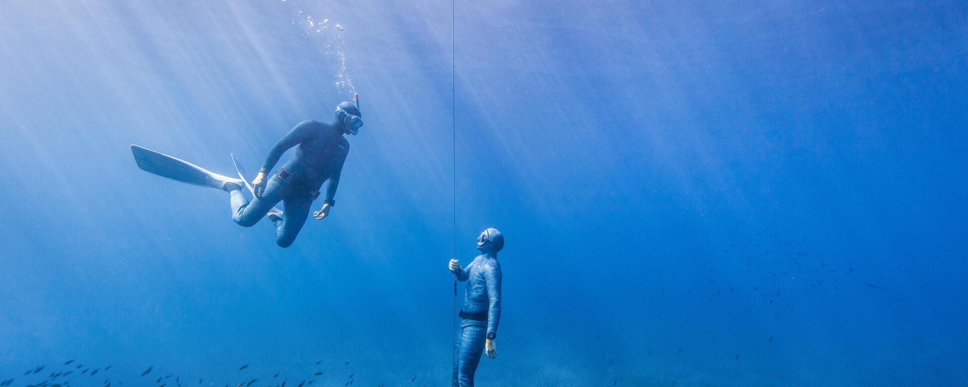 Apnée freediving : la discipline atypique et méconnue à découvrir