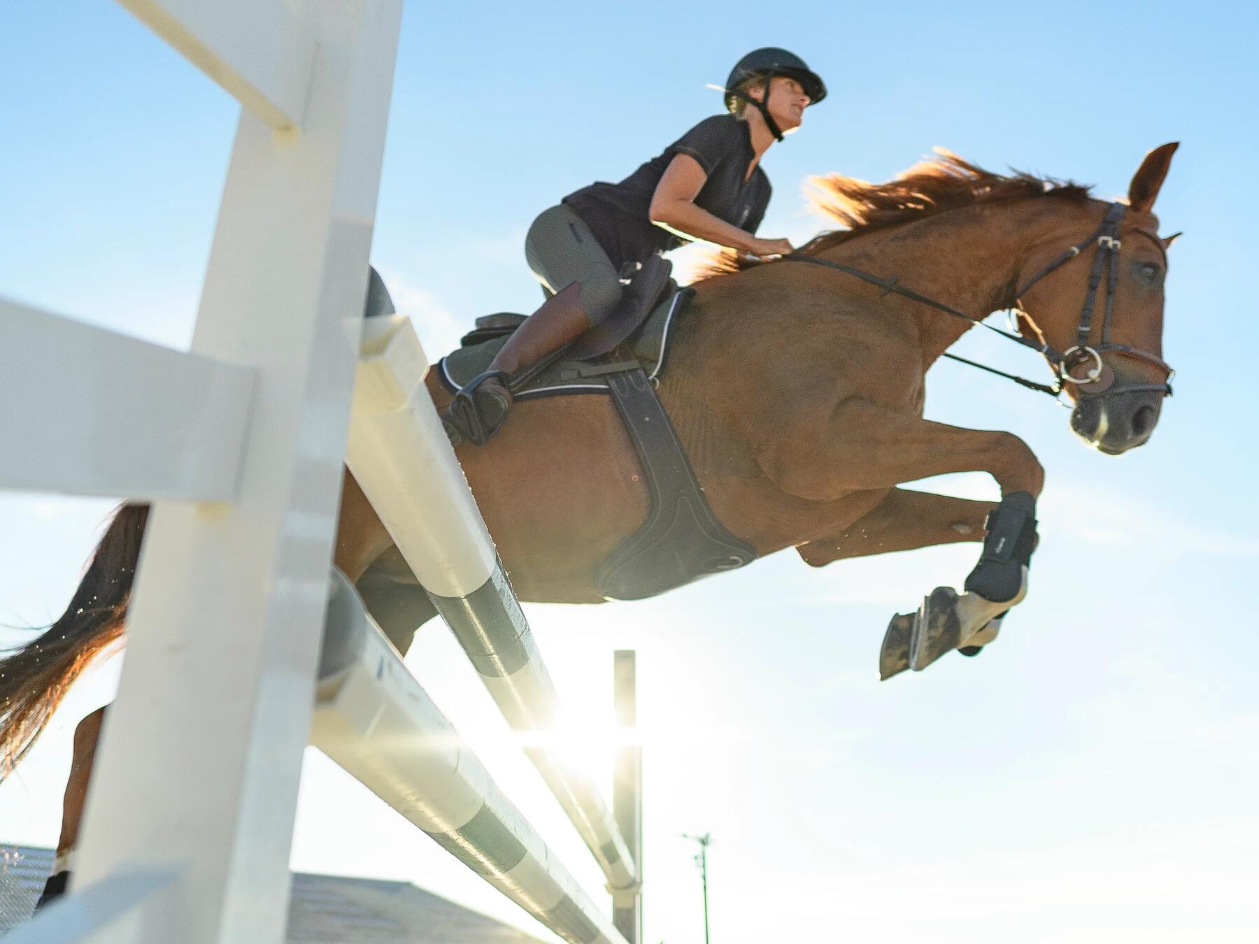 saut sur un vertical