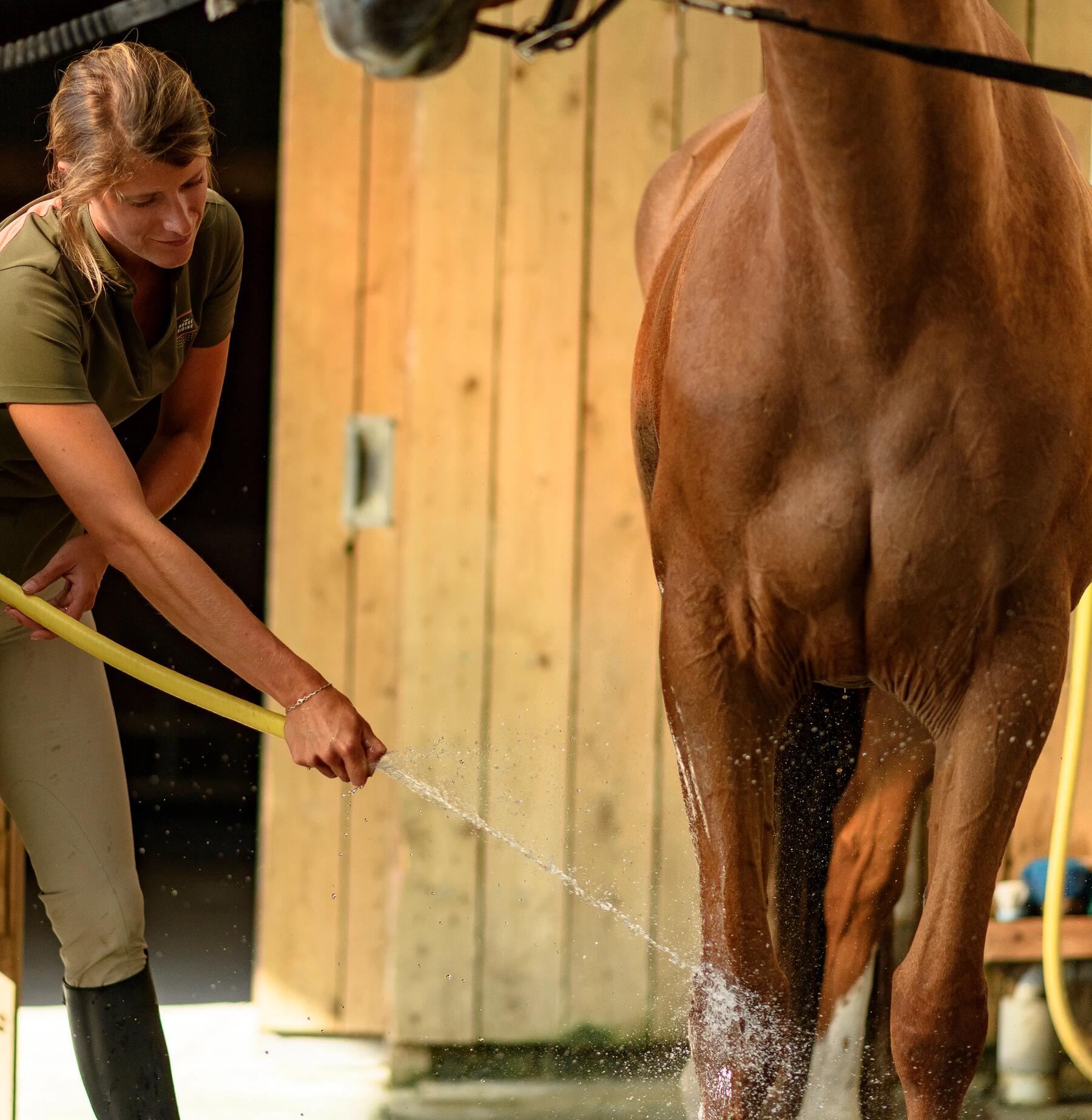 een ruiter wast de benen van haar paard 