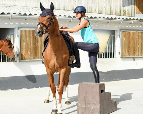 Cheval qui a appris à s'arrêter et à rester immobile au montoir