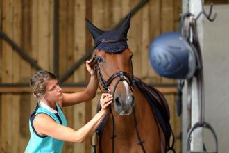 préparation de son cheval et du matériel avant un concours