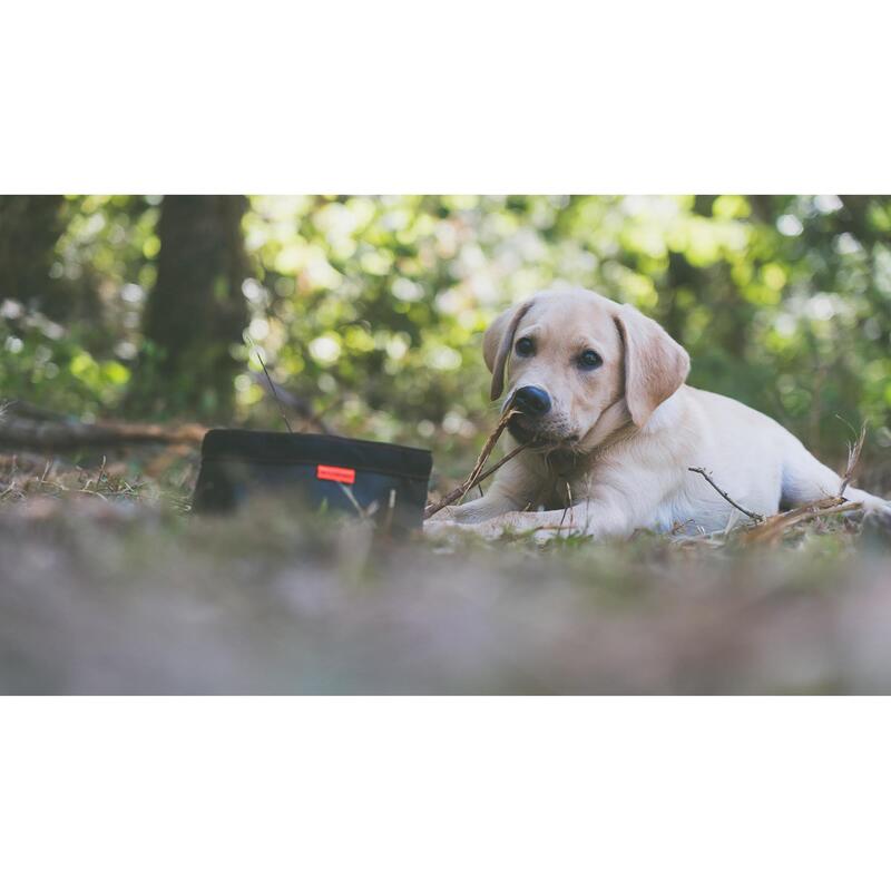 Gamela Dobrável para Cão de Caça 100