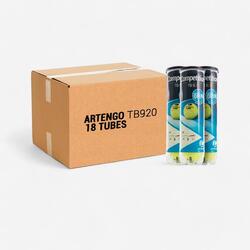 CARTON BALLES DE TENNIS TB920 X18