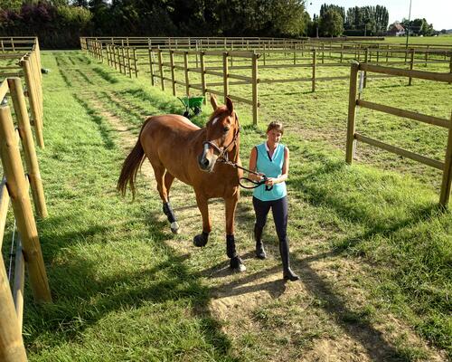 Cavalière qui va mettre son cheval au pré