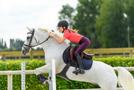 Alt/les différentes selle Alt/les différentes selle