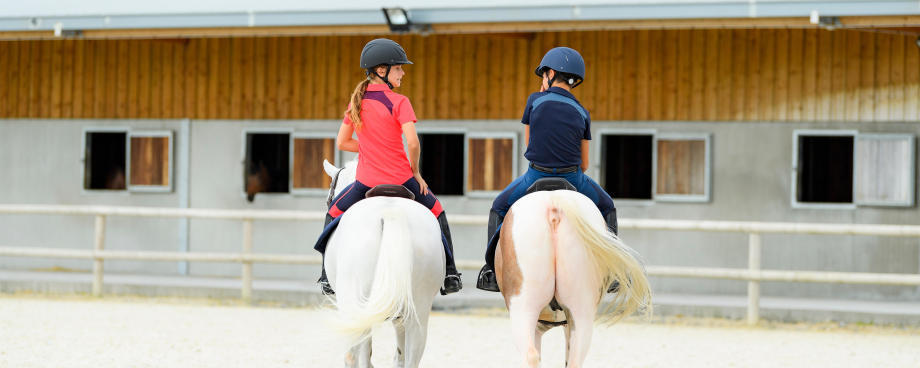 dos équitation dos équitation