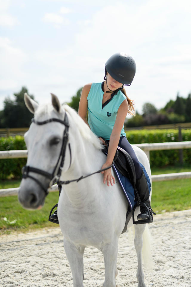 Les Différentes Robes Des Chevaux Fouganza