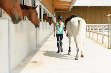 Alt/ou et a quel prix pratiquer l'équitation Alt/ou et a quel prix pratiquer l'équitation