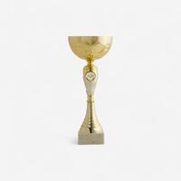 COUPE C519 Or 29cm
