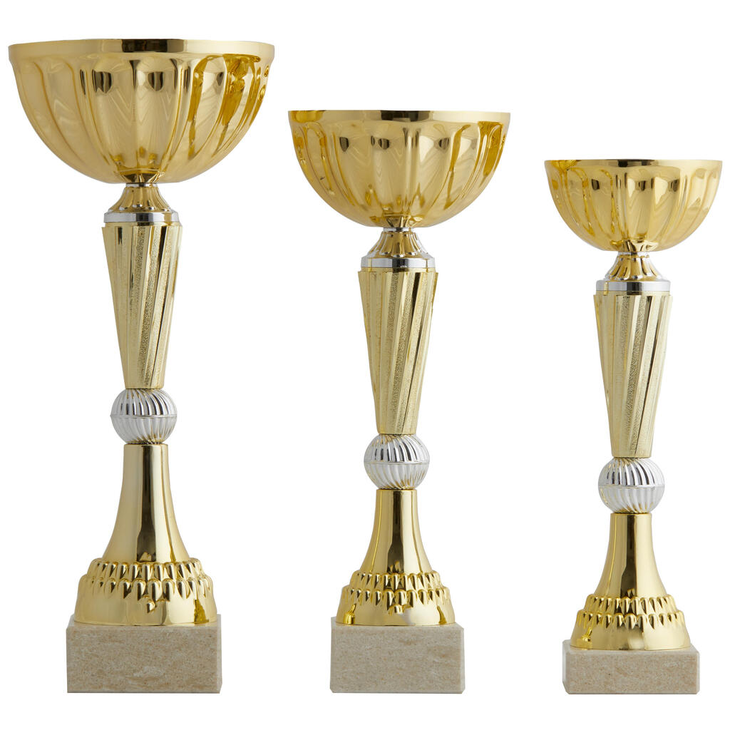 Trophies 24-26-29 cm Set of 3