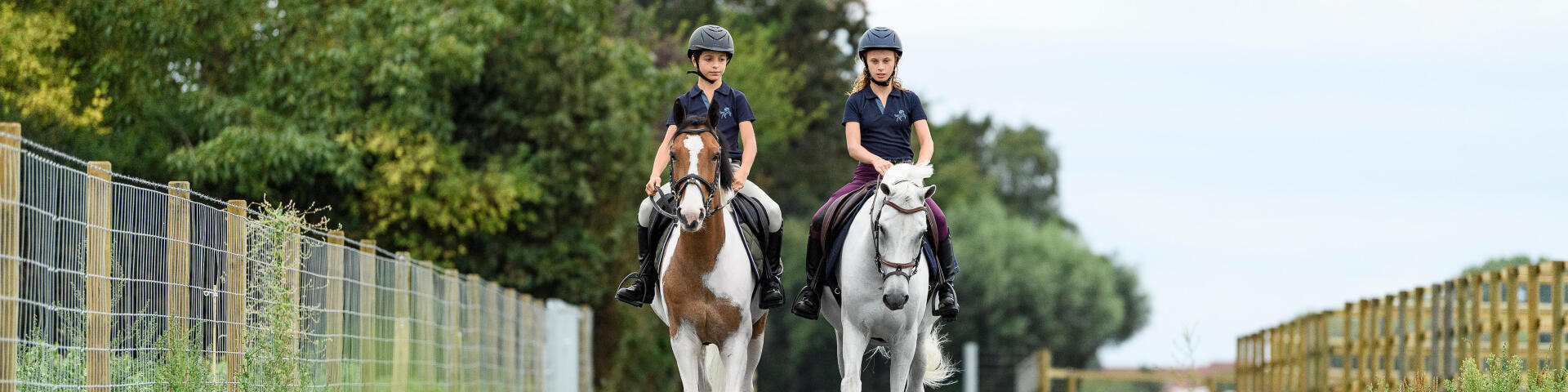 travailler-son-cheval-en-exterieur