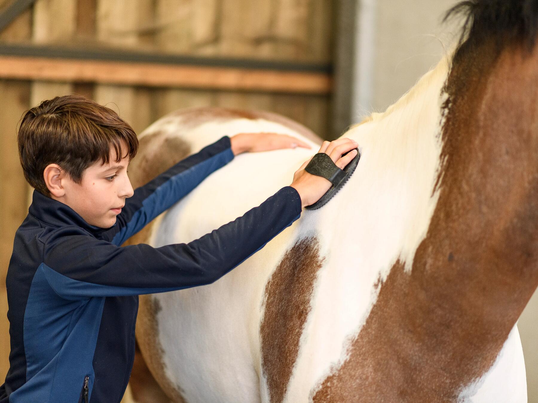 enfant qui fait le pansage d'un poney