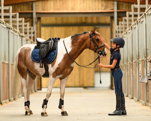 Jeune cavalier et son cheval dans une écurie prêts pour leur premier cours d'équitation