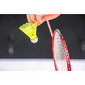 RAQUETES BADMINTON ADULTO Badminton - RAQUETE BR 160 ADULTO VERMELHO PERFLY - Material de Badminton