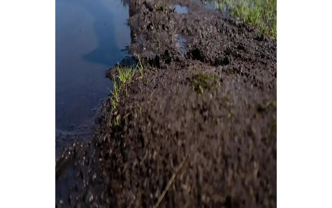 chaussure trail amorti maximum