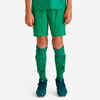 F500 Kids Football Shorts - Green