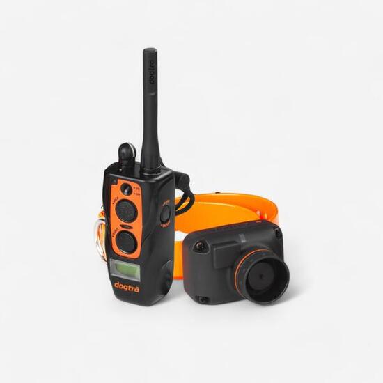 PACK COLLIER + TÉLÉCOMMANDE DE DRESSAGE ET REPÉRAGE POUR CHIEN DOGTRA 2600T&B