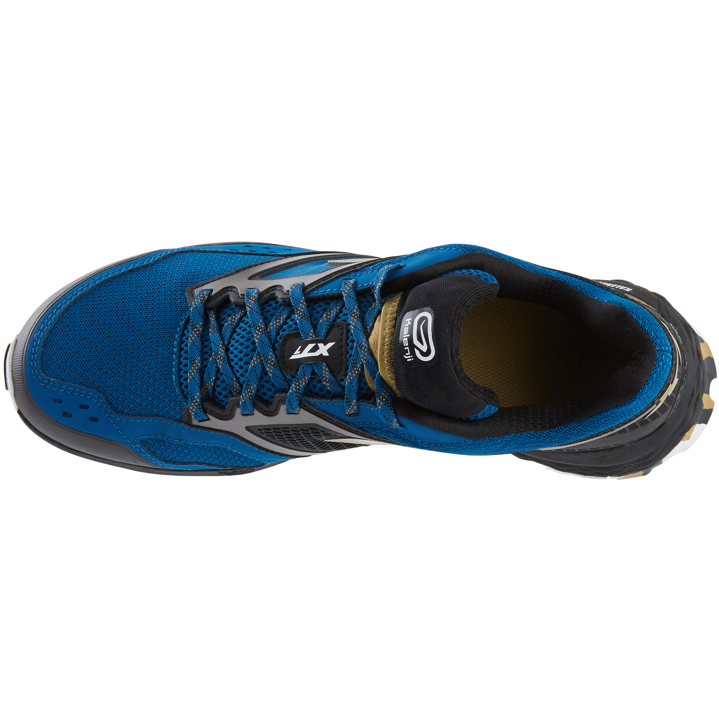Laufschuhe Trail XT7 Herren blau/bronzefarben 9/16