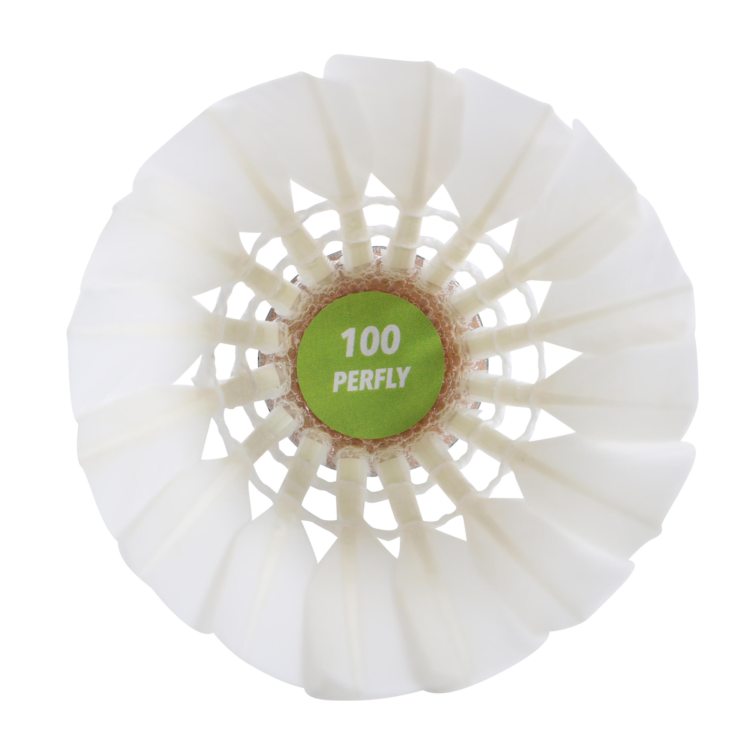 Lot de 12 volants de badminton plumes FSC 100 12/14