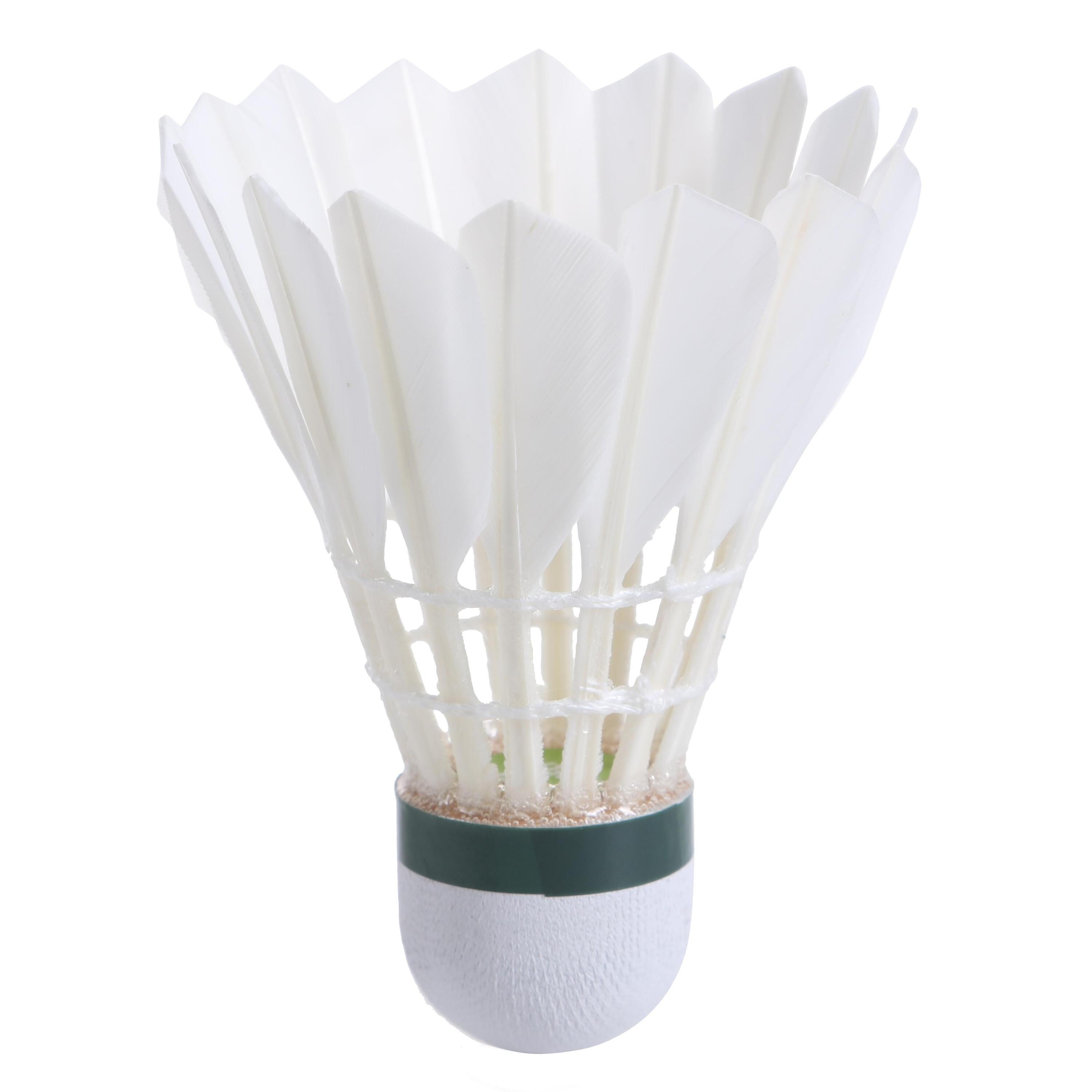 Lot de 12 volants de badminton plumes FSC 100 13/14