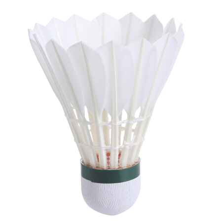 គ្រាប់សីធ្វើពីរោមសត្វ FSC 990 ល្បឿន 76 x 12