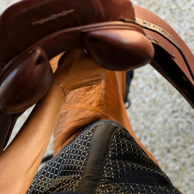 Alt/les différentes selle