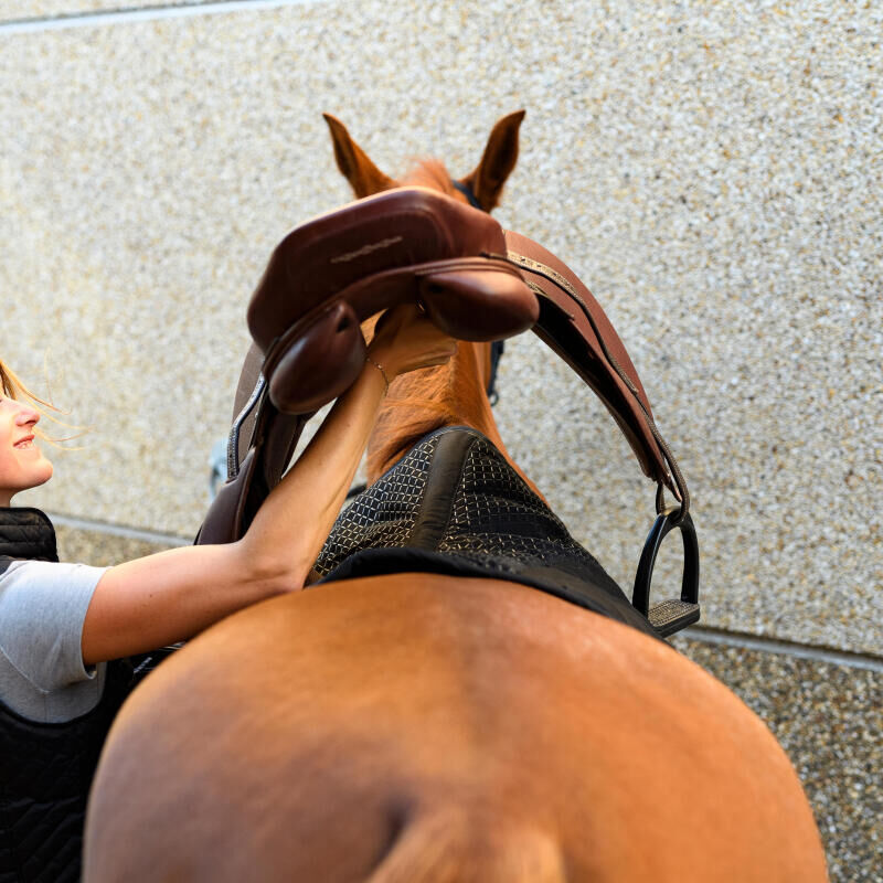 Alt/les différentes selle