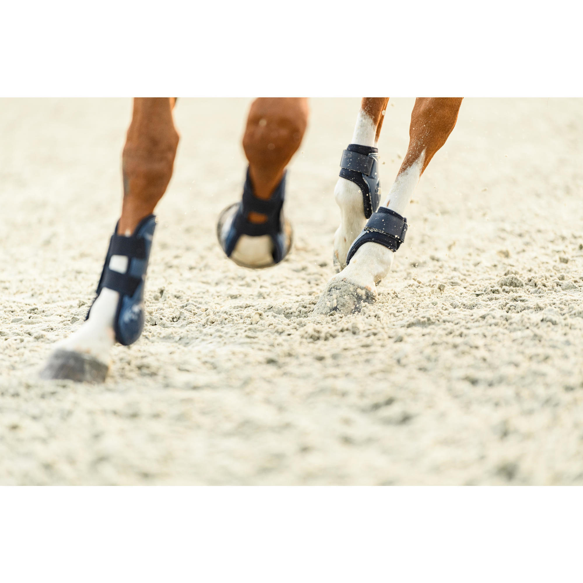 НОГАВКИ ДЛЯ ЛОШАДЕЙ ТЕМНО-СИНИЕ 500 шт. X2 FOUGANZA