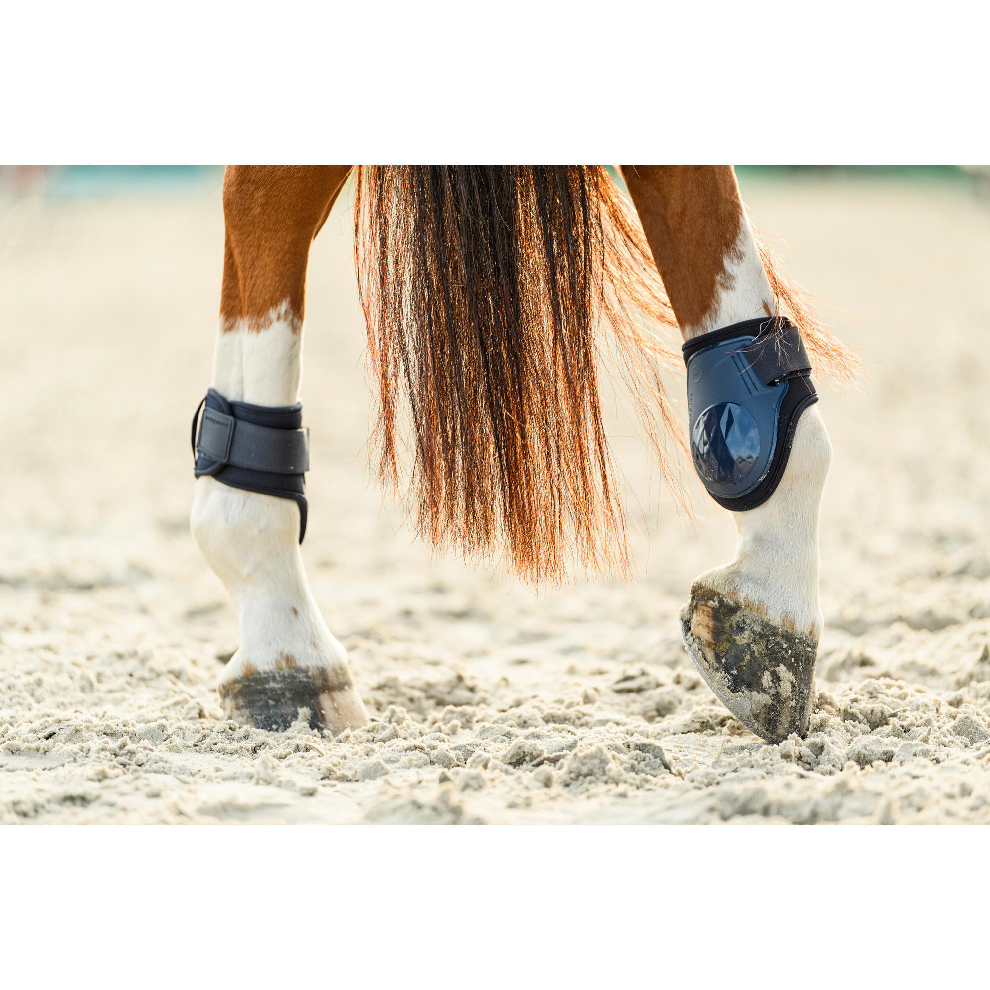 НОГАВКИ ДЛЯ ЛОШАДЕЙ ТЕМНО-СИНИЕ 500 шт. X2 FOUGANZA