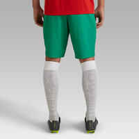 Adult Football Shorts Viralto Club - Green