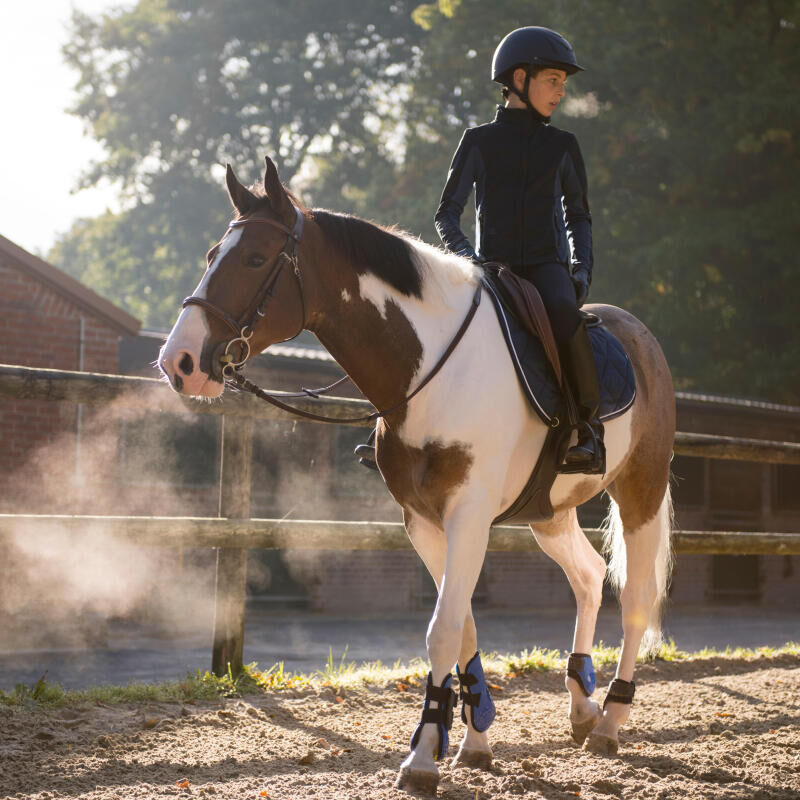 monter_un_cheval_froid_aux_jambes