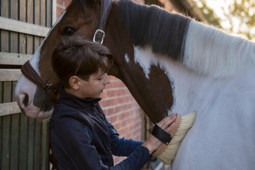 Commencer l'équitation avec succès : Astuces, lieux idéaux et équipements  essentiels