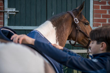 Недоуздок 500 