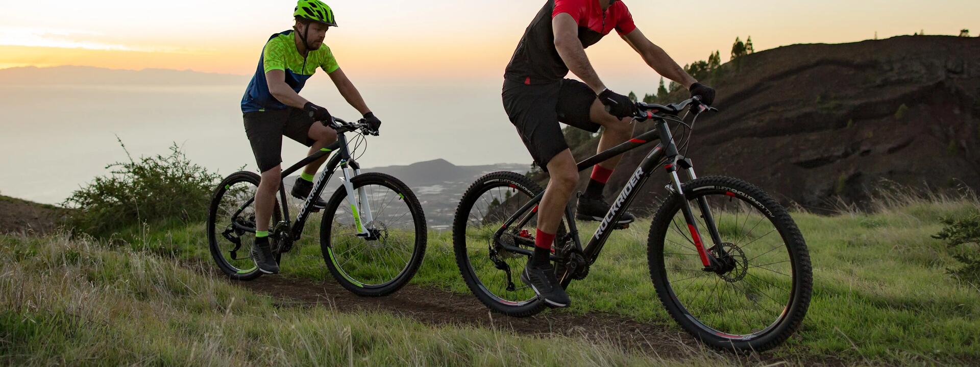 MTB: hardtail of full suspension?
