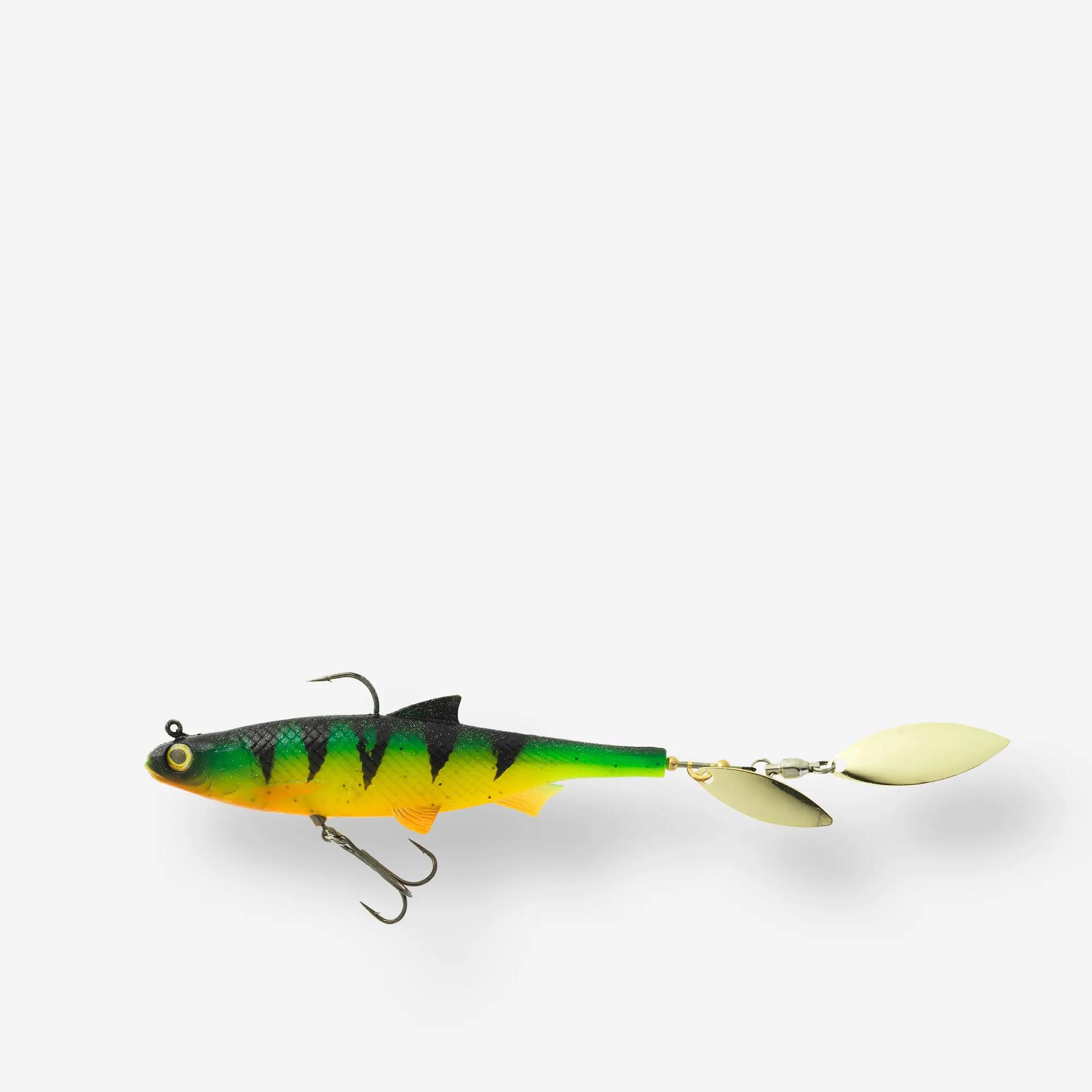 roachspin