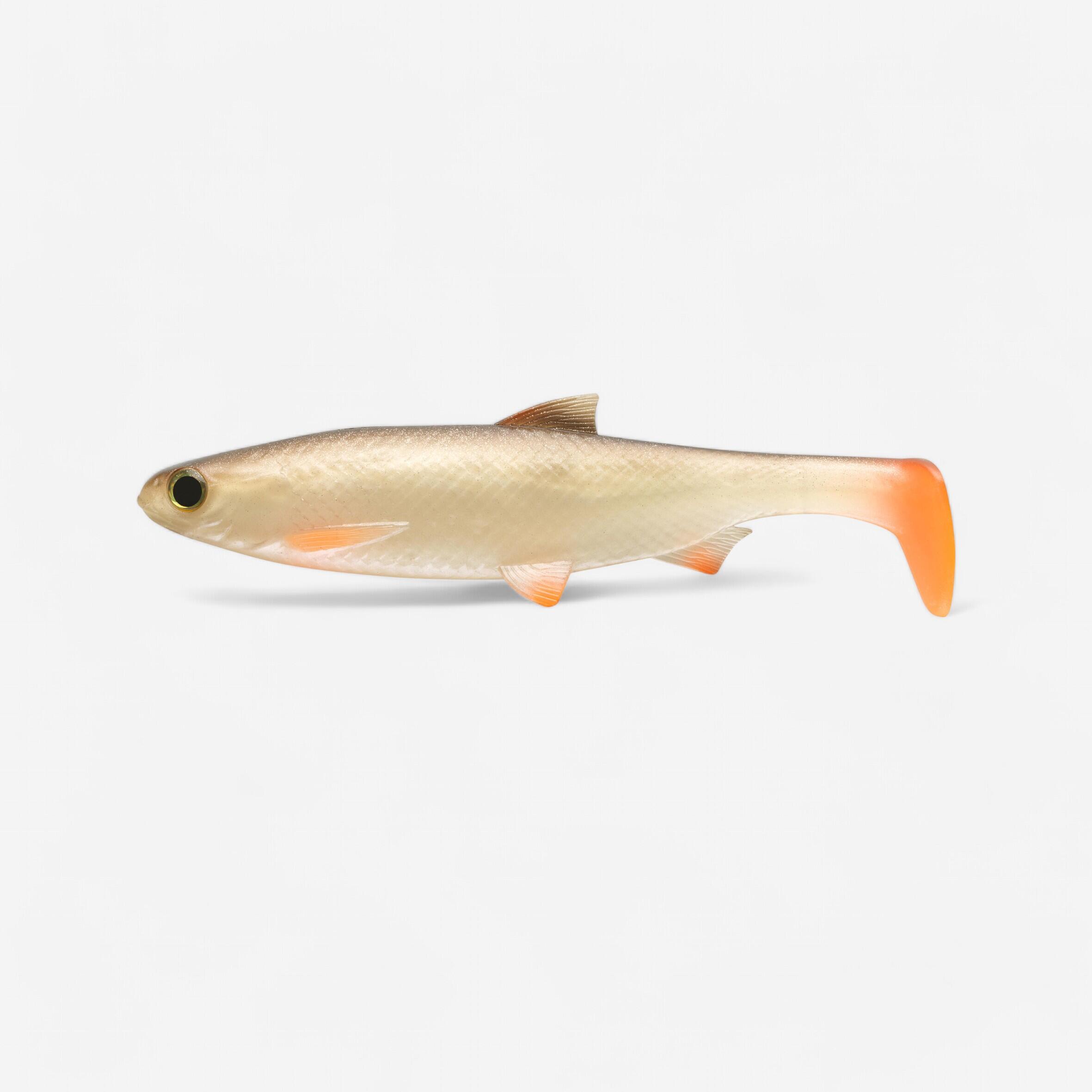 SHAD ROACH 160 ROACH SOFT LURE