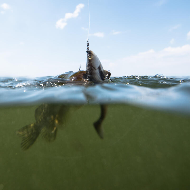 Comment présenter facilement ses appâts pour la pêche en mer