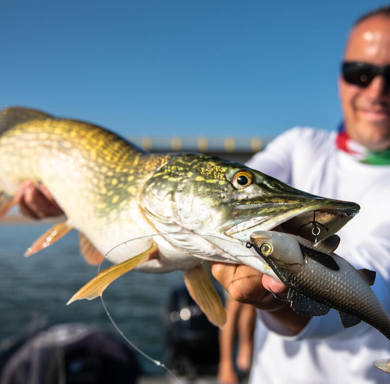 What equipment do you need to start fishing with lures?