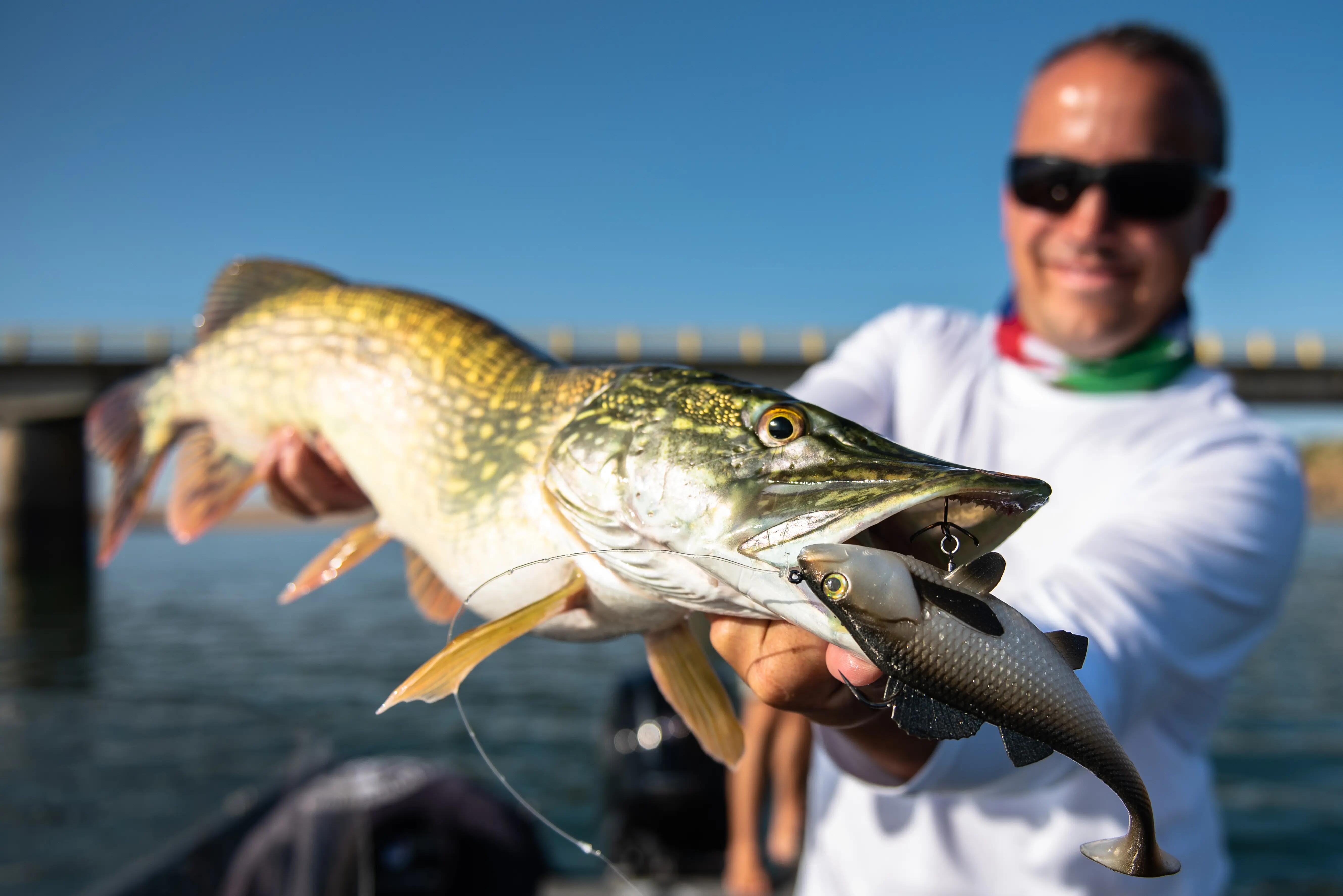 Angler holding a freshly caught fish with fishing lure
