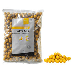 bouillettes pêche de la carpe Wellmix Scopex 14 mm 1 kg