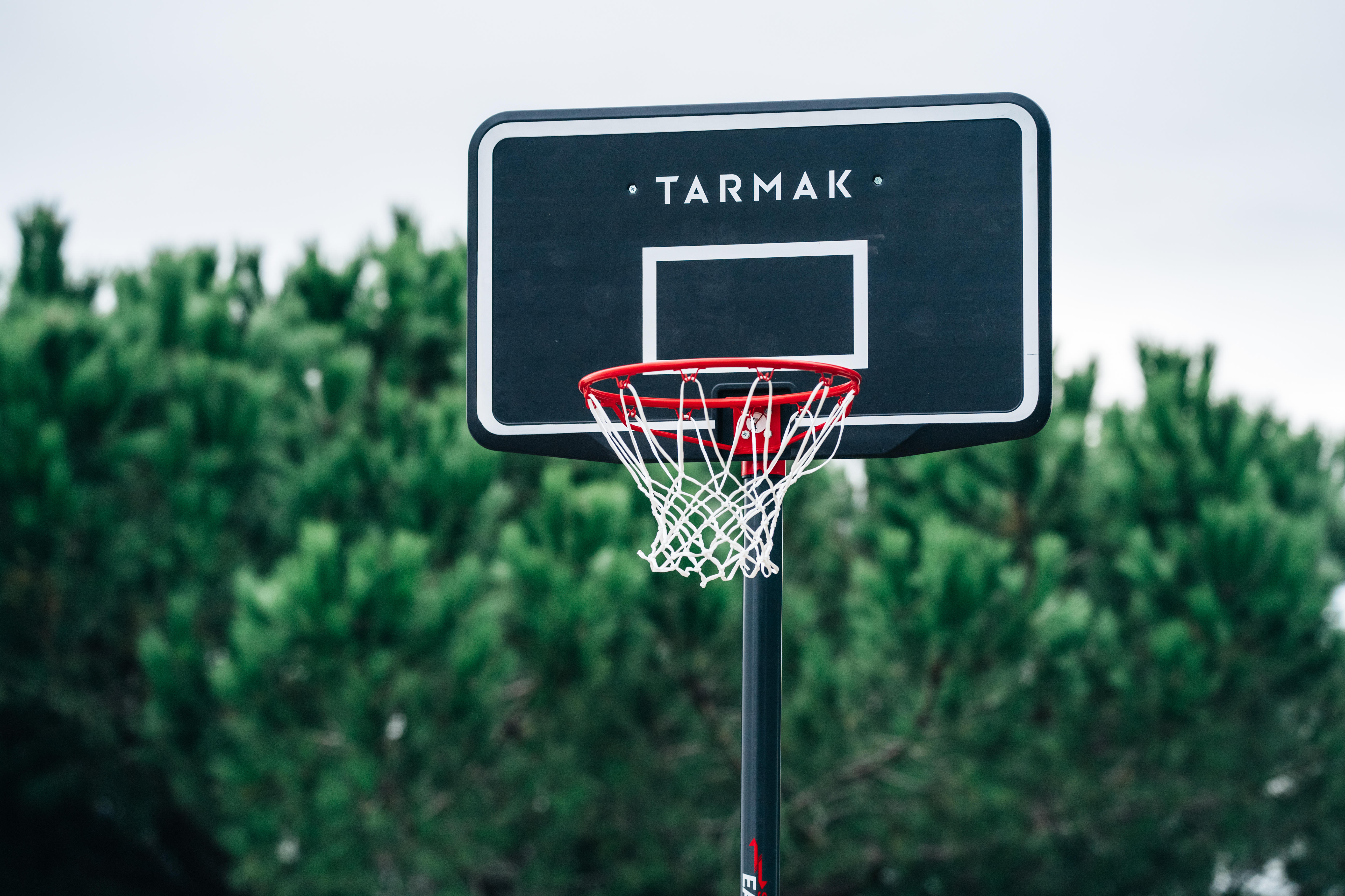 Basketball Hoop with Adjustable Stand - B 100 Easy Black - TARMAK