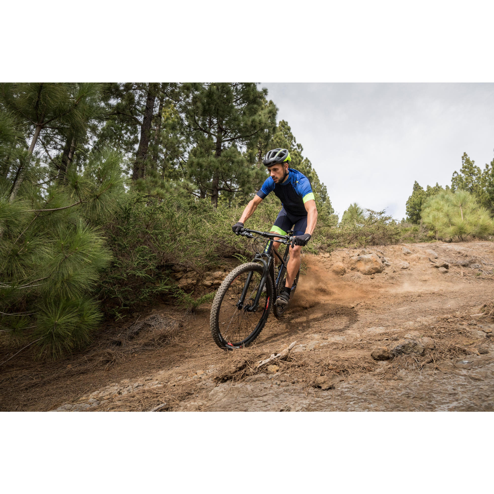 mtb xc 050 ltd 29