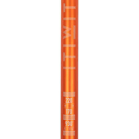 Irklentės irklas „100“, 2 dalių reguliuojamo ilgio, 170–220 cm, oranžinis